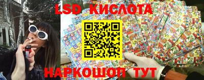 стафф Донской