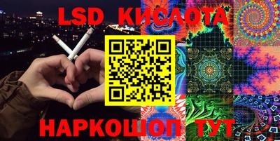 стафф Донской