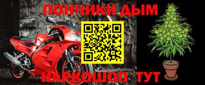 стафф Донской