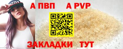 стафф Донской