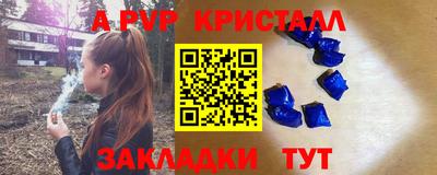 стафф Донской
