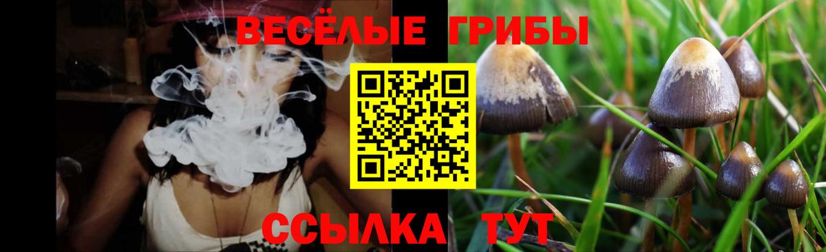 Псилоцибиновые грибы MAGIC MUSHROOMS  где купить наркотик  Лысьва  Вход с VPN 
